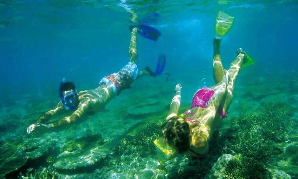 浪漫衣裙